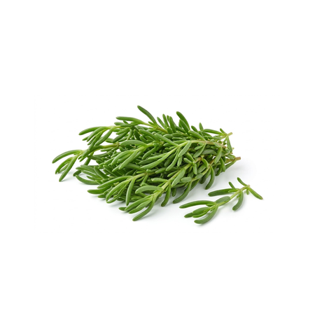 Deniz Yıldızı Çiçeği